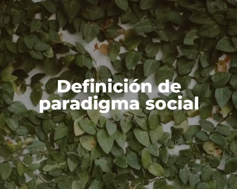 Definición de paradigma social