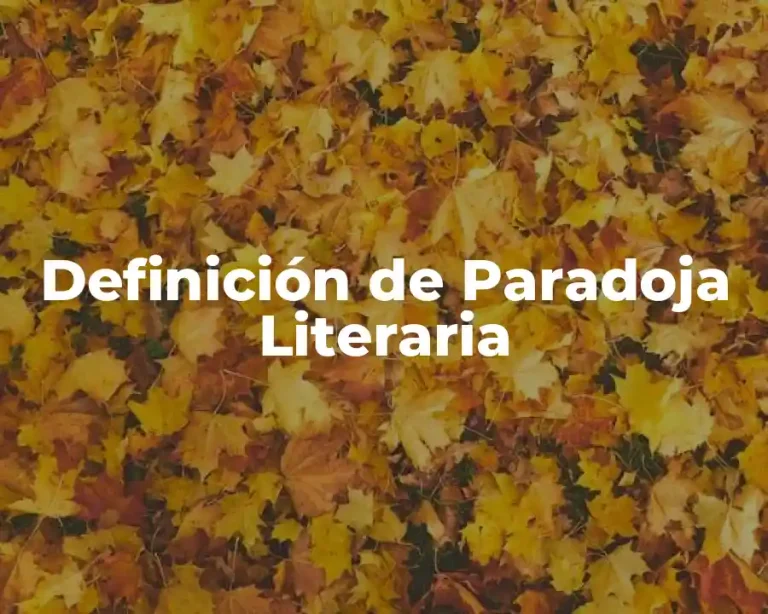 Definición de Paradoja Literaria