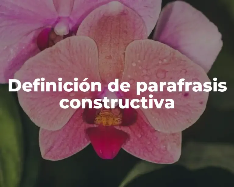 Definición de parafrasis constructiva