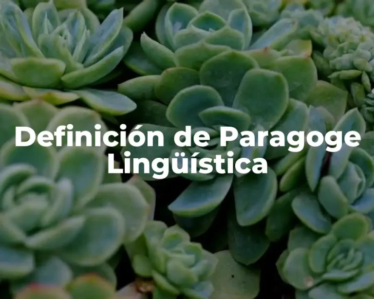 Definición de Paragoge Lingüística
