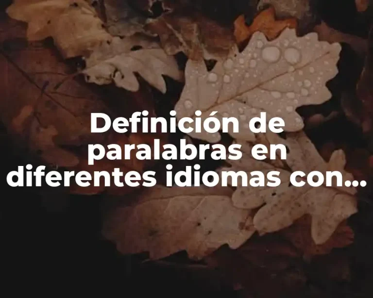 Definición de paralabras en diferentes idiomas con el mismo significado