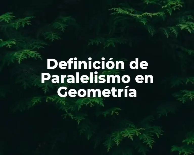 Definición de Paralelismo en Geometría