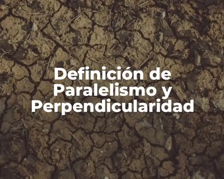 Definición de Paralelismo y Perpendicularidad