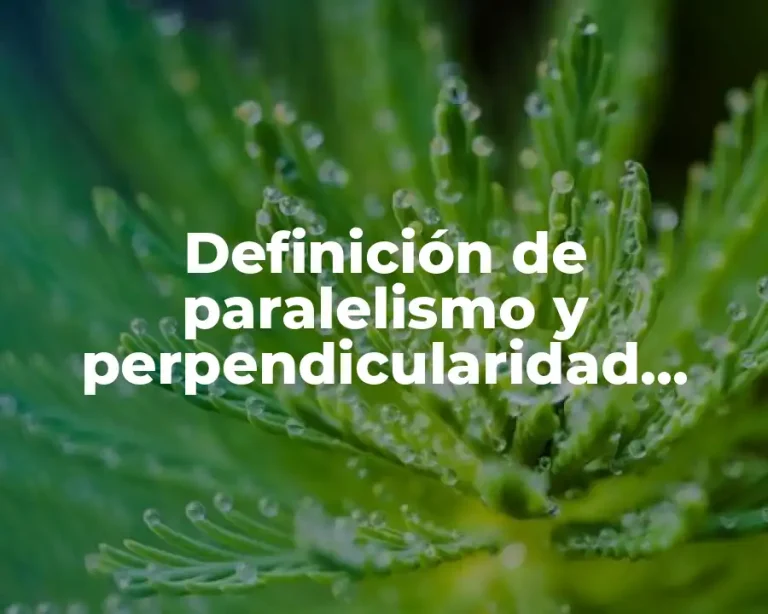 Definición de paralelismo y perpendicularidad entre dos rectas