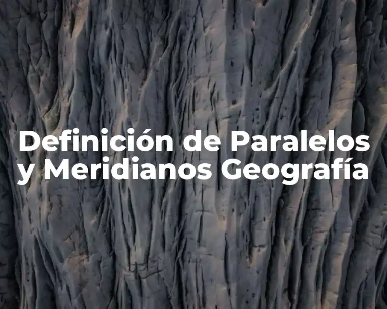 Definición de Paralelos y Meridianos Geografía