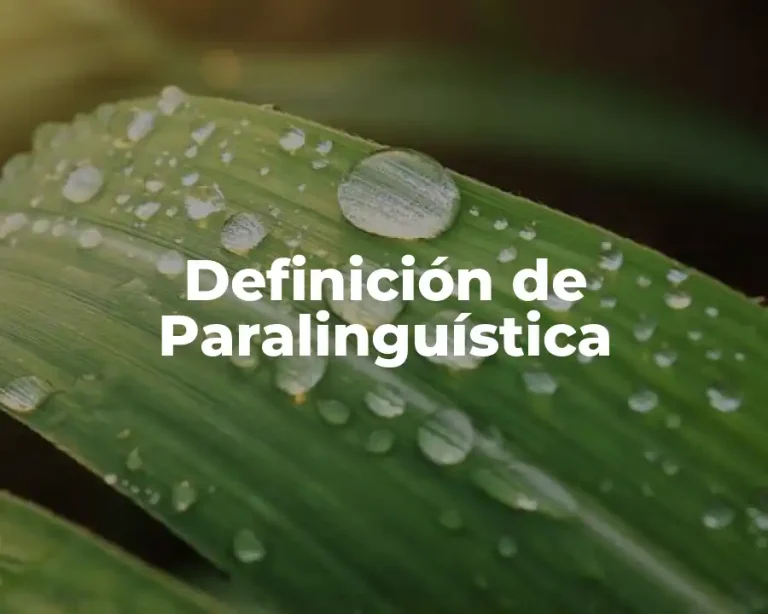 Definición de Paralinguística