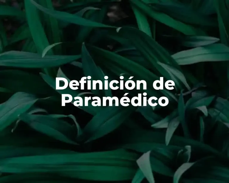 Definición de Paramédico