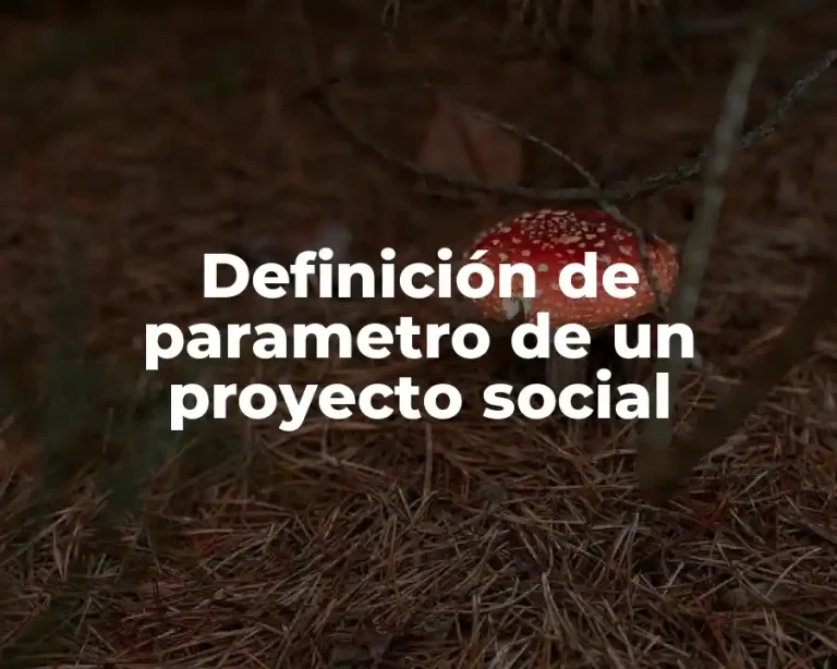Definición de parametro de un proyecto social