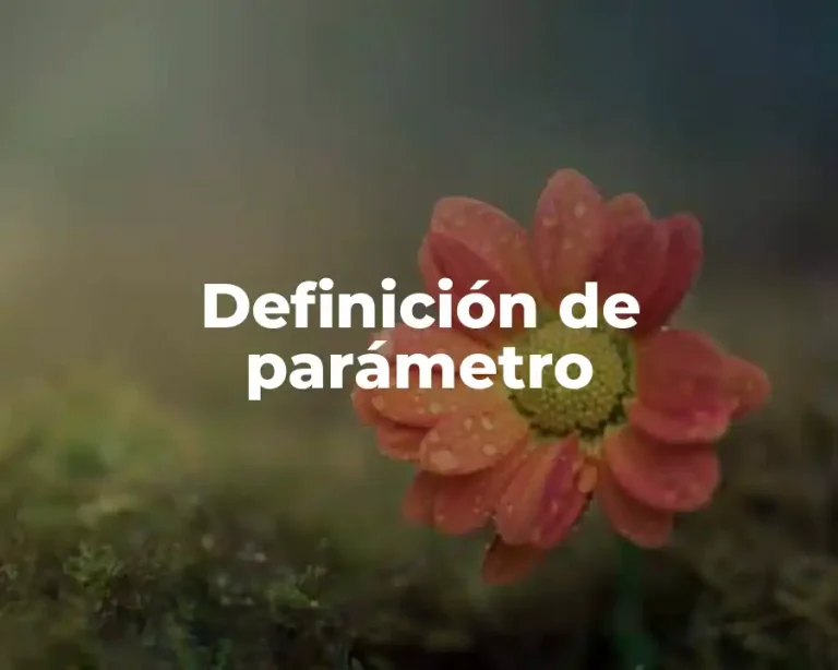 Definición de parámetro