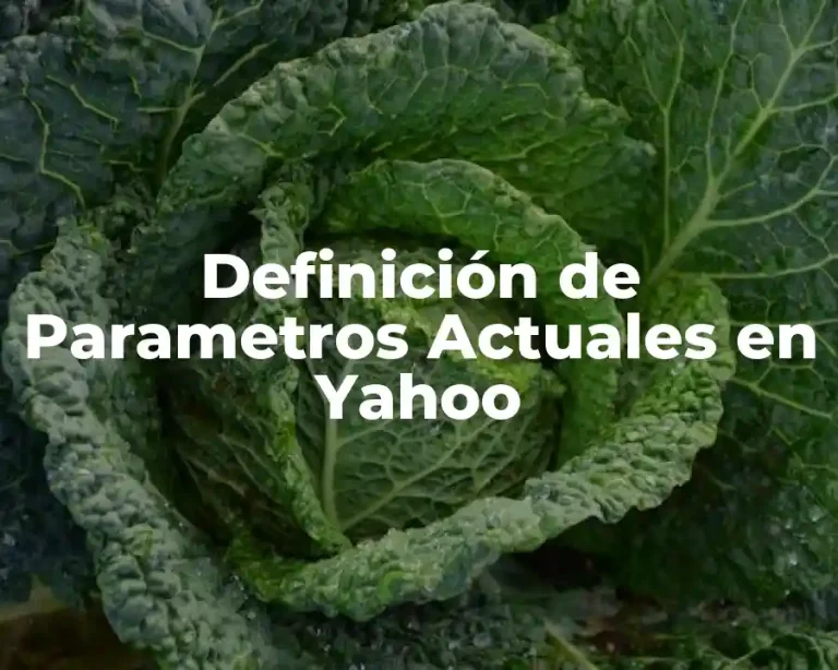 Definición de Parametros Actuales en Yahoo