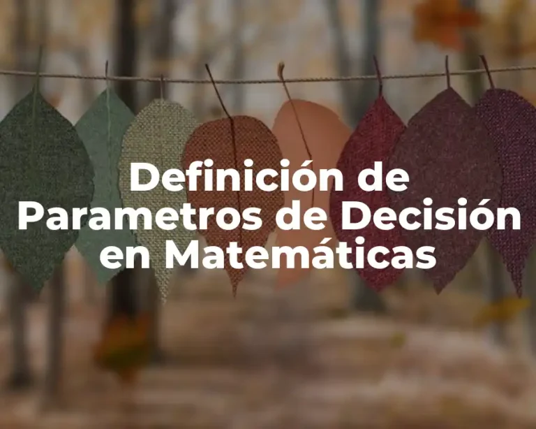 Definición de Parametros de Decisión en Matemáticas