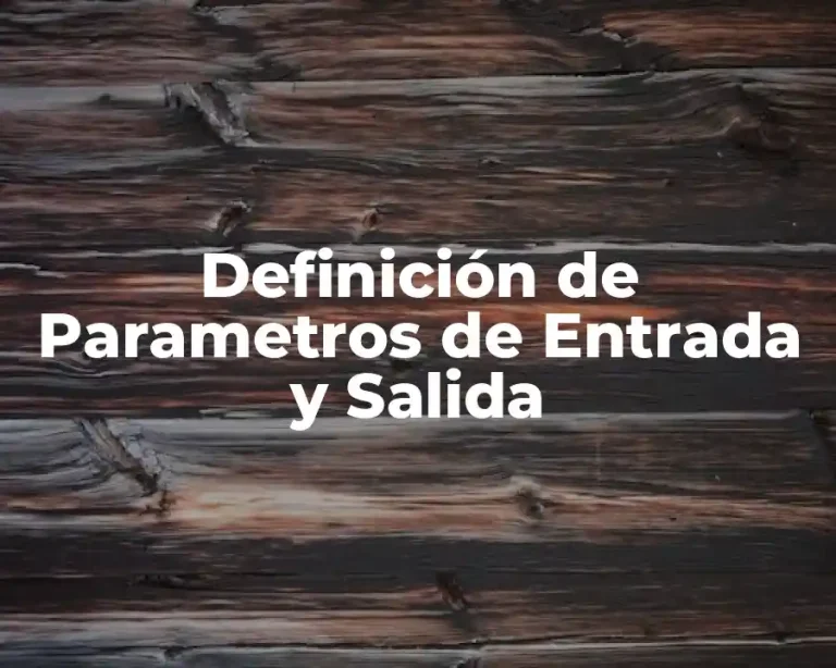 Definición de Parametros de Entrada y Salida