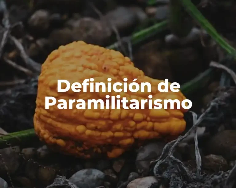 Definición de Paramilitarismo