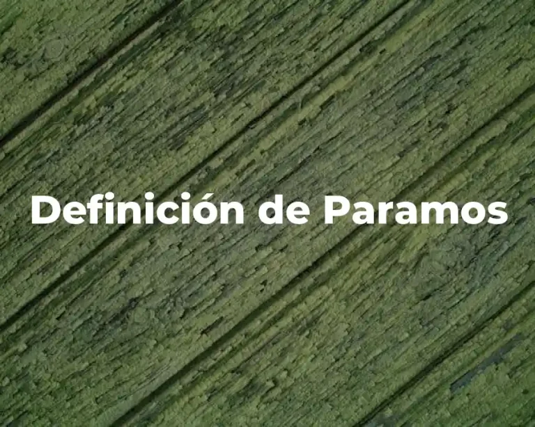 Definición de Paramos