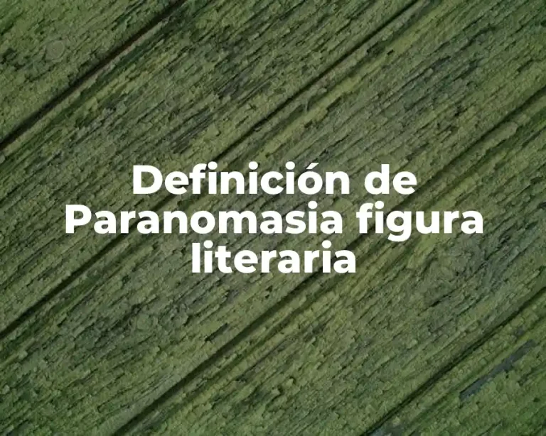 Definición de Paranomasia figura literaria