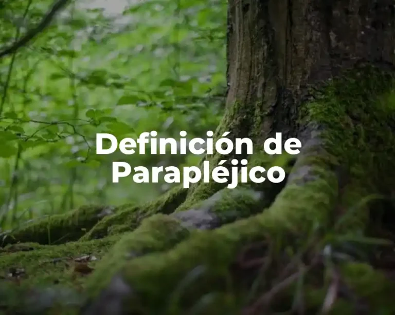 Definición de Parapléjico