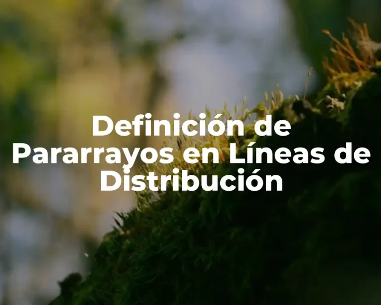 Definición de Pararrayos en Líneas de Distribución