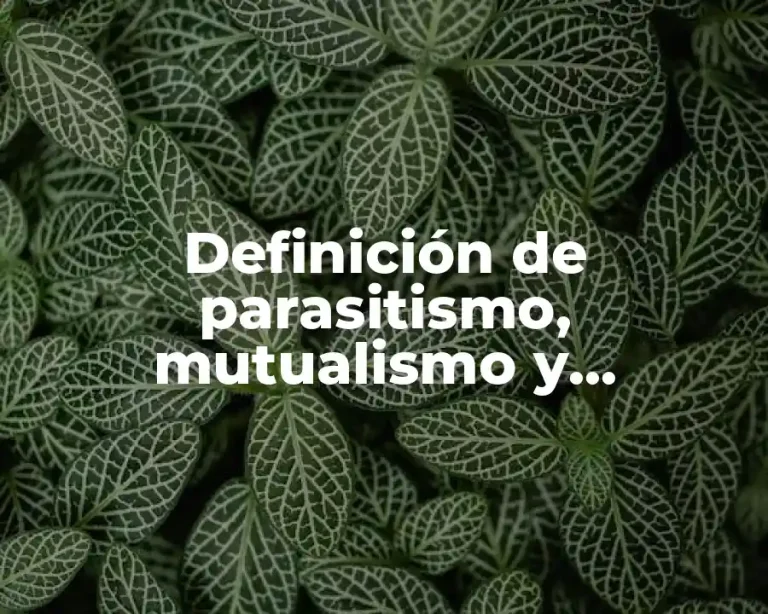 Definición de parasitismo, mutualismo y comensalismo