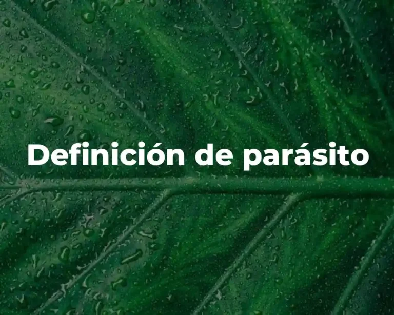 Definición de parásito