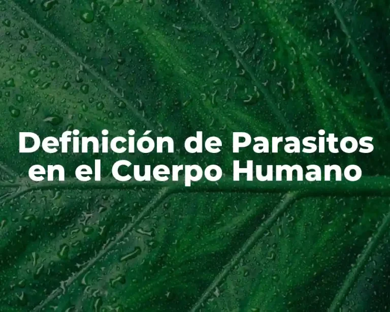Definición de Parasitos en el Cuerpo Humano