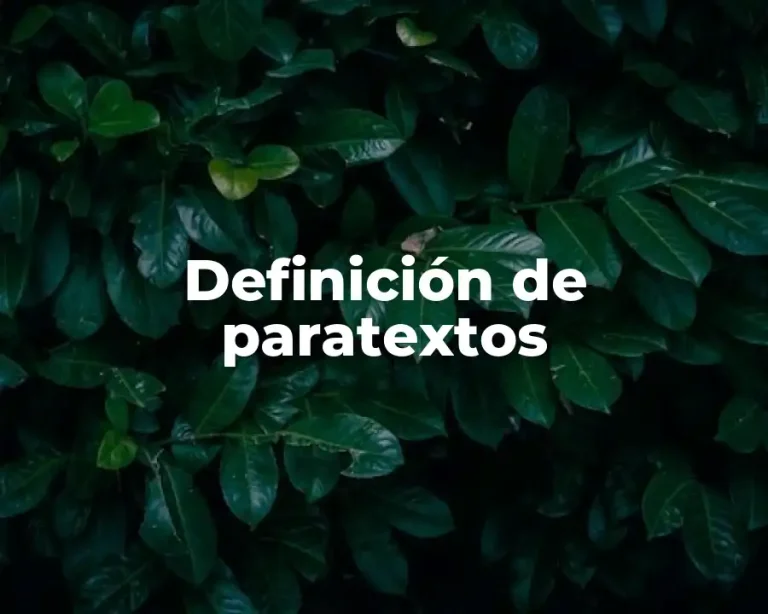 Definición de paratextos
