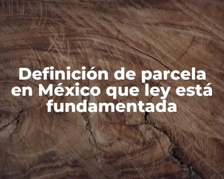Definición de parcela en México que ley está fundamentada