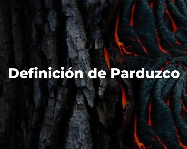 Definición de Parduzco