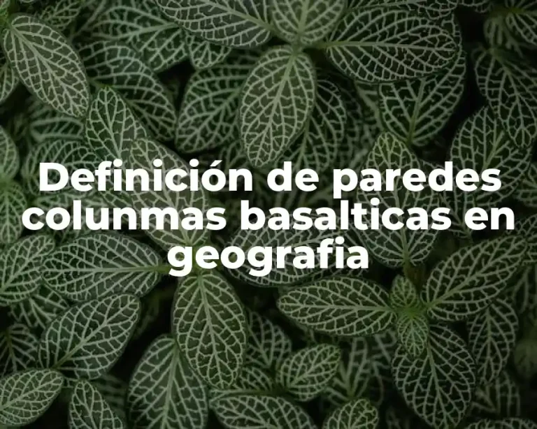 Definición de paredes colunmas basalticas en geografia