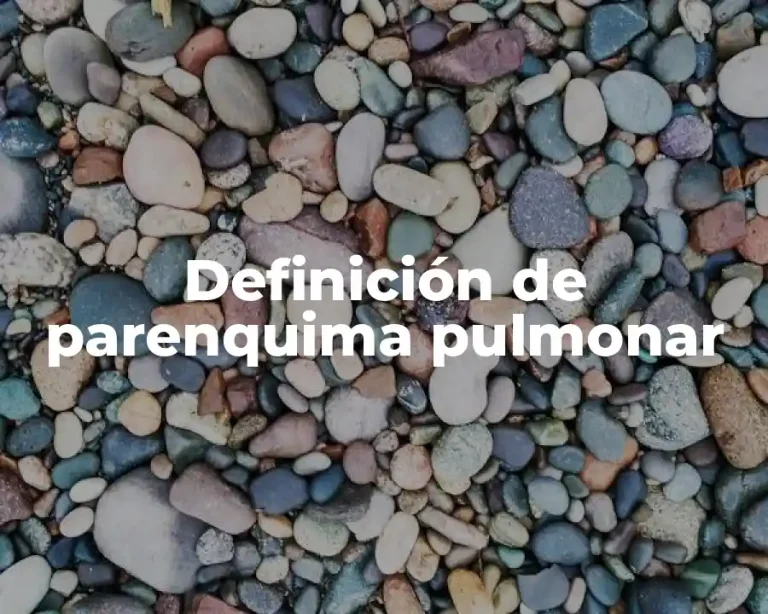Definición de parenquima pulmonar