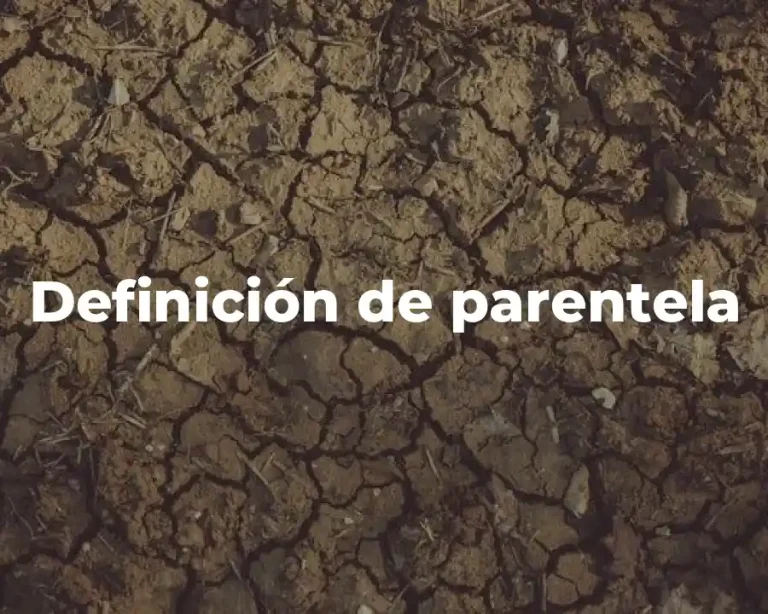 Definición de parentela