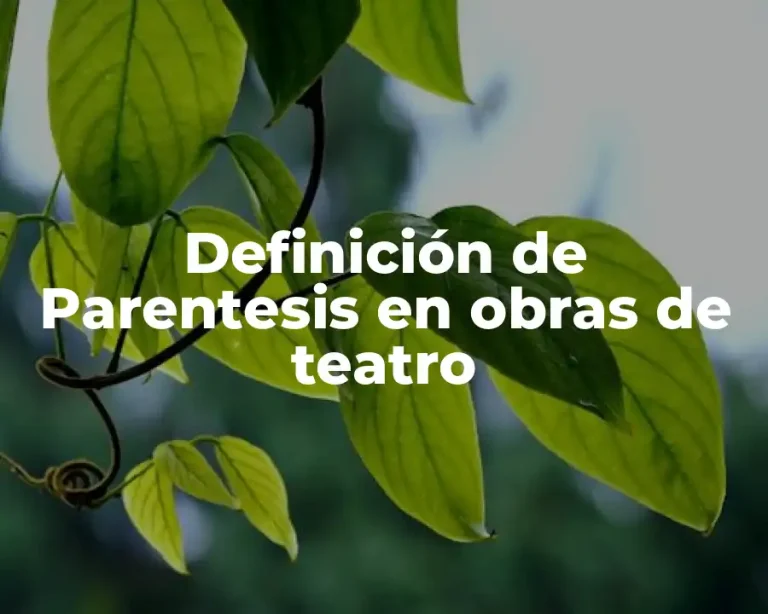Definición de Parentesis en obras de teatro