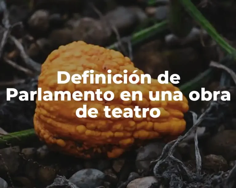 Definición de Parlamento en una obra de teatro
