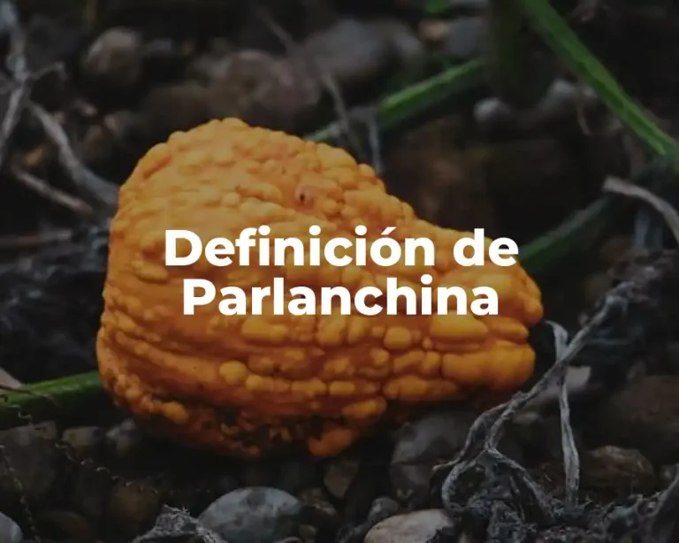 Definición de Parlanchina
