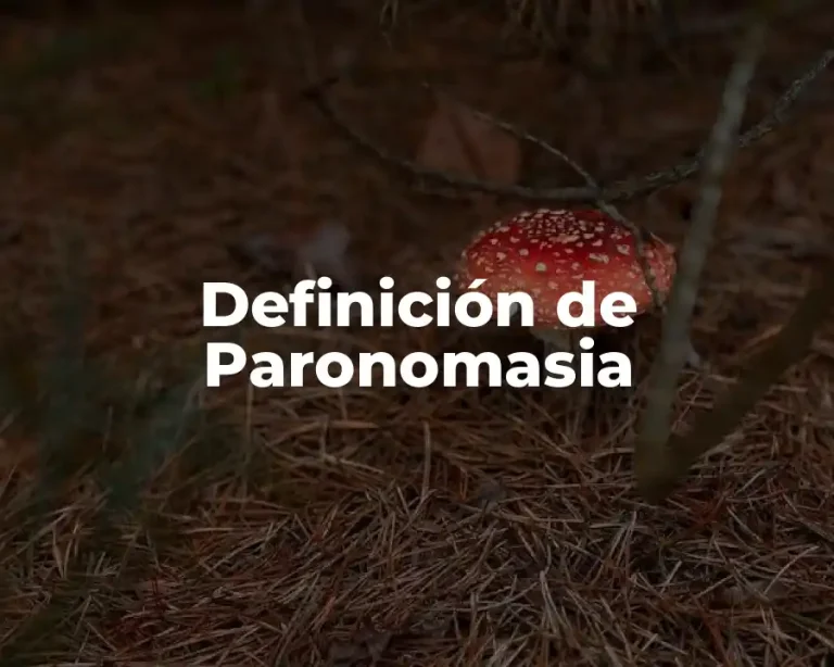Definición de Paronomasia