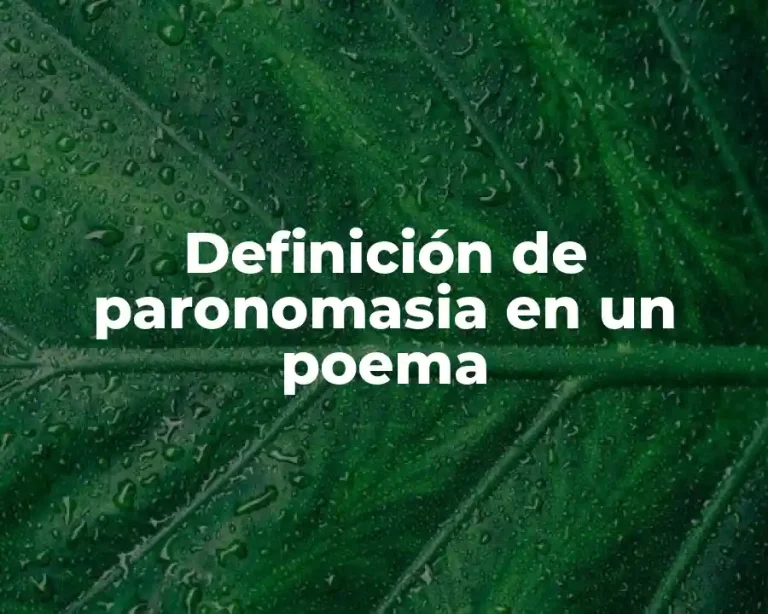 Definición de paronomasia en un poema
