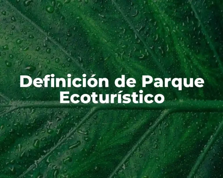Definición de Parque Ecoturístico