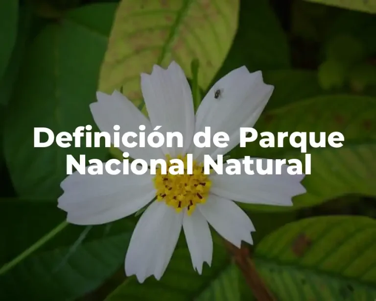 Definición de Parque Nacional Natural
