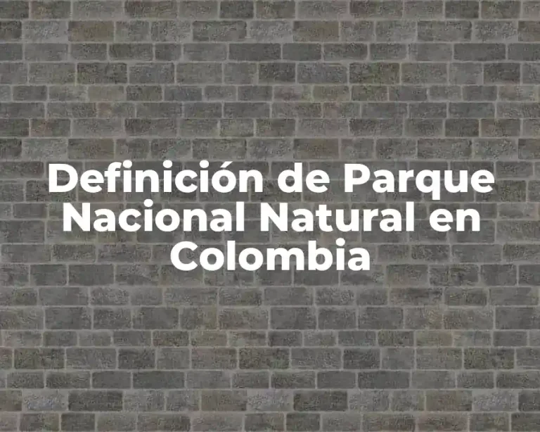 Definición de Parque Nacional Natural en Colombia