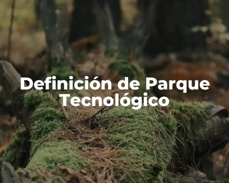 Definición de Parque Tecnológico