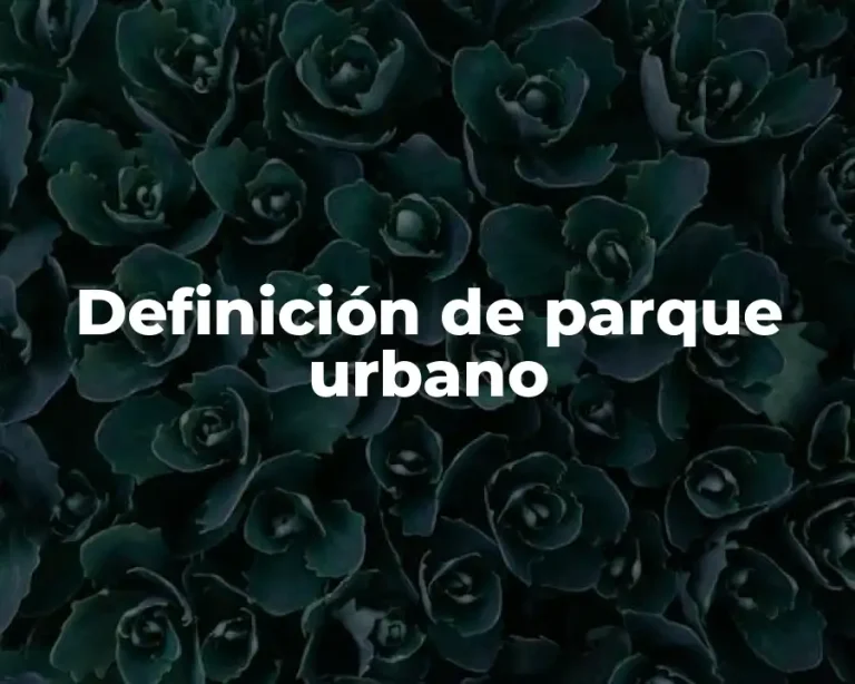 Definición de parque urbano