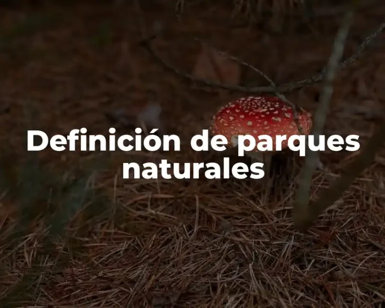Definición de parques naturales