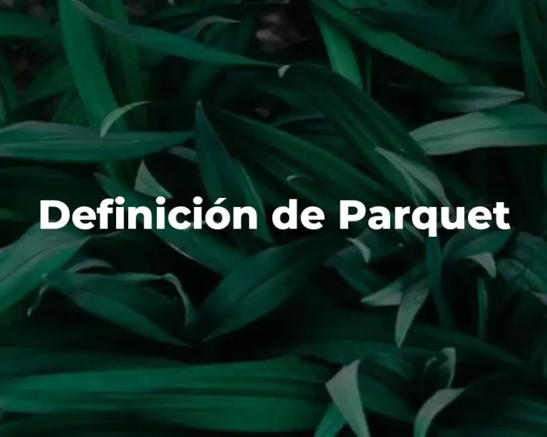 Definición de Parquet