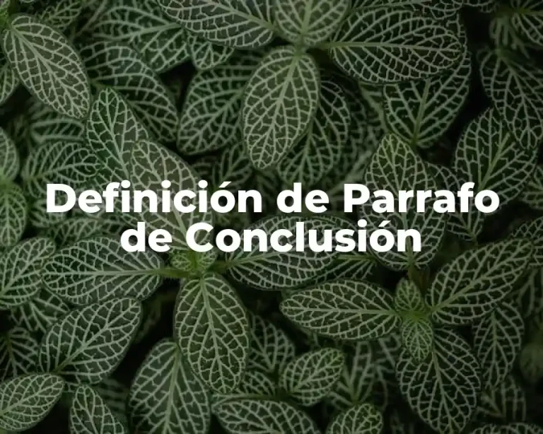 Definición de Parrafo de Conclusión