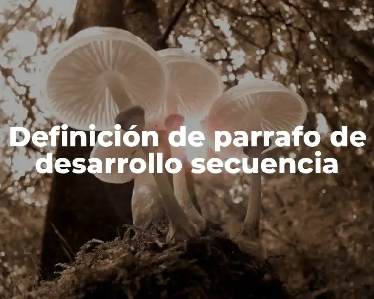Definición de parrafo de desarrollo secuencia