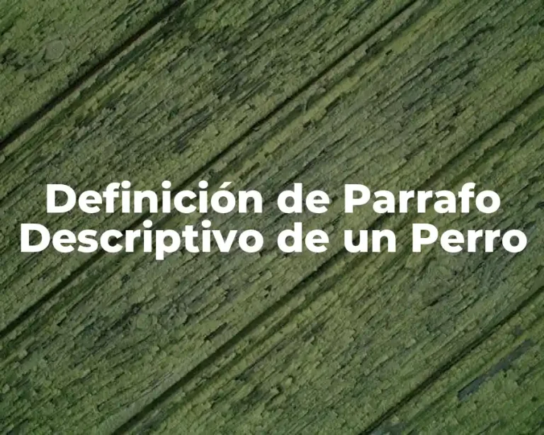 Definición de Parrafo Descriptivo de un Perro