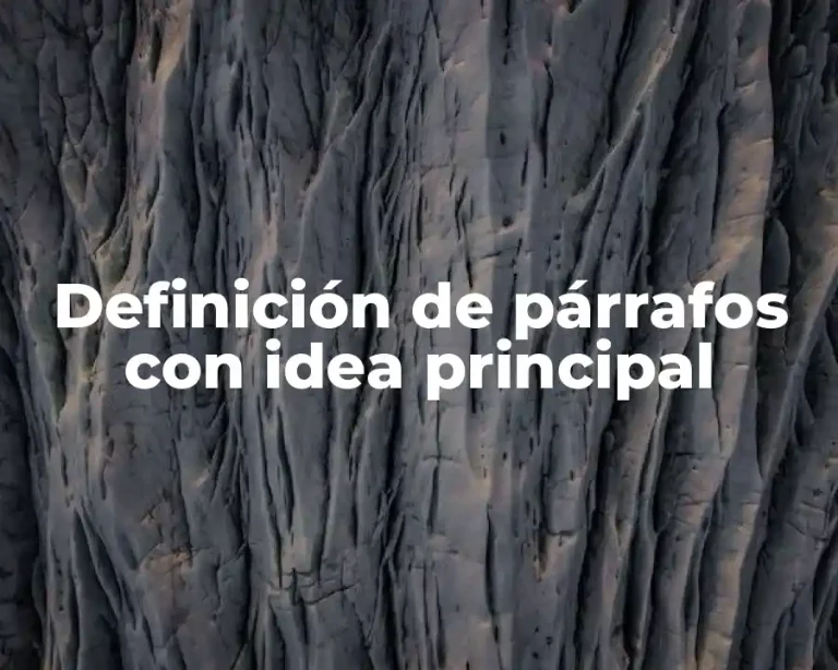Definición de párrafos con idea principal