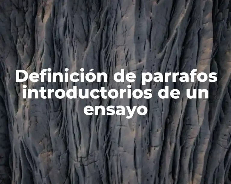 Definición de parrafos introductorios de un ensayo