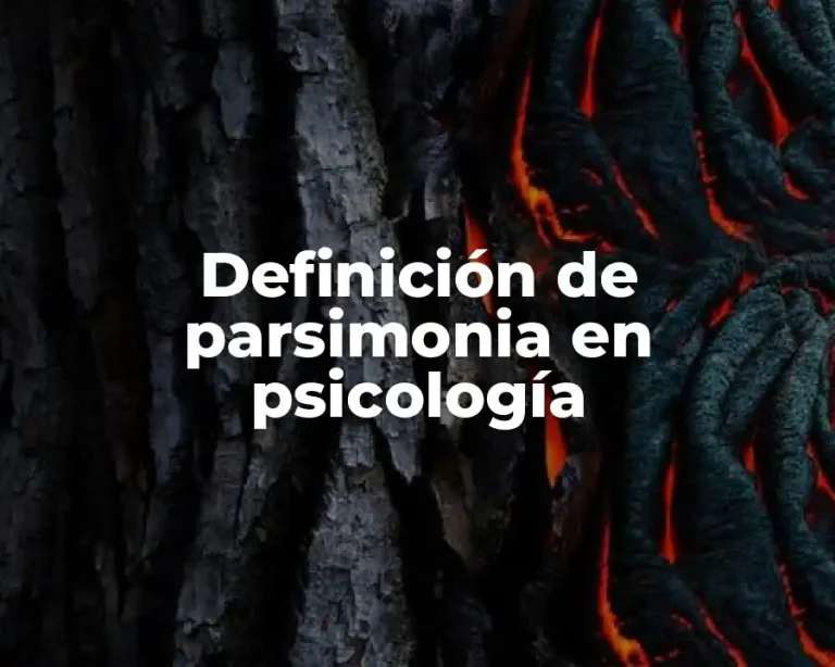 Definición de parsimonia en psicología