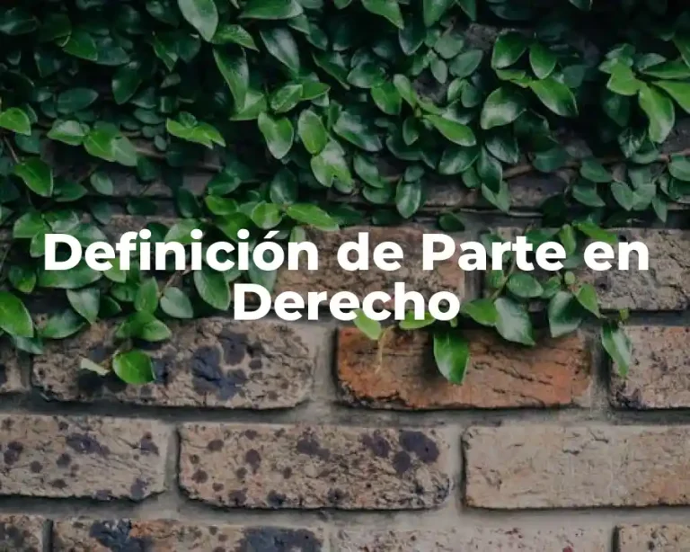 Definición de Parte en Derecho