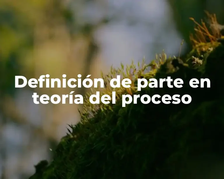 Definición de parte en teoría del proceso